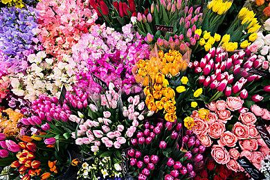 弓箭手就位！《艾尔登法环：黑夜君临》“铁眼”职业预告