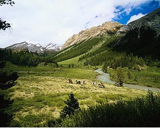 《极品飞车：不羁》关闭卡通效果演示 烟雾不夸张了